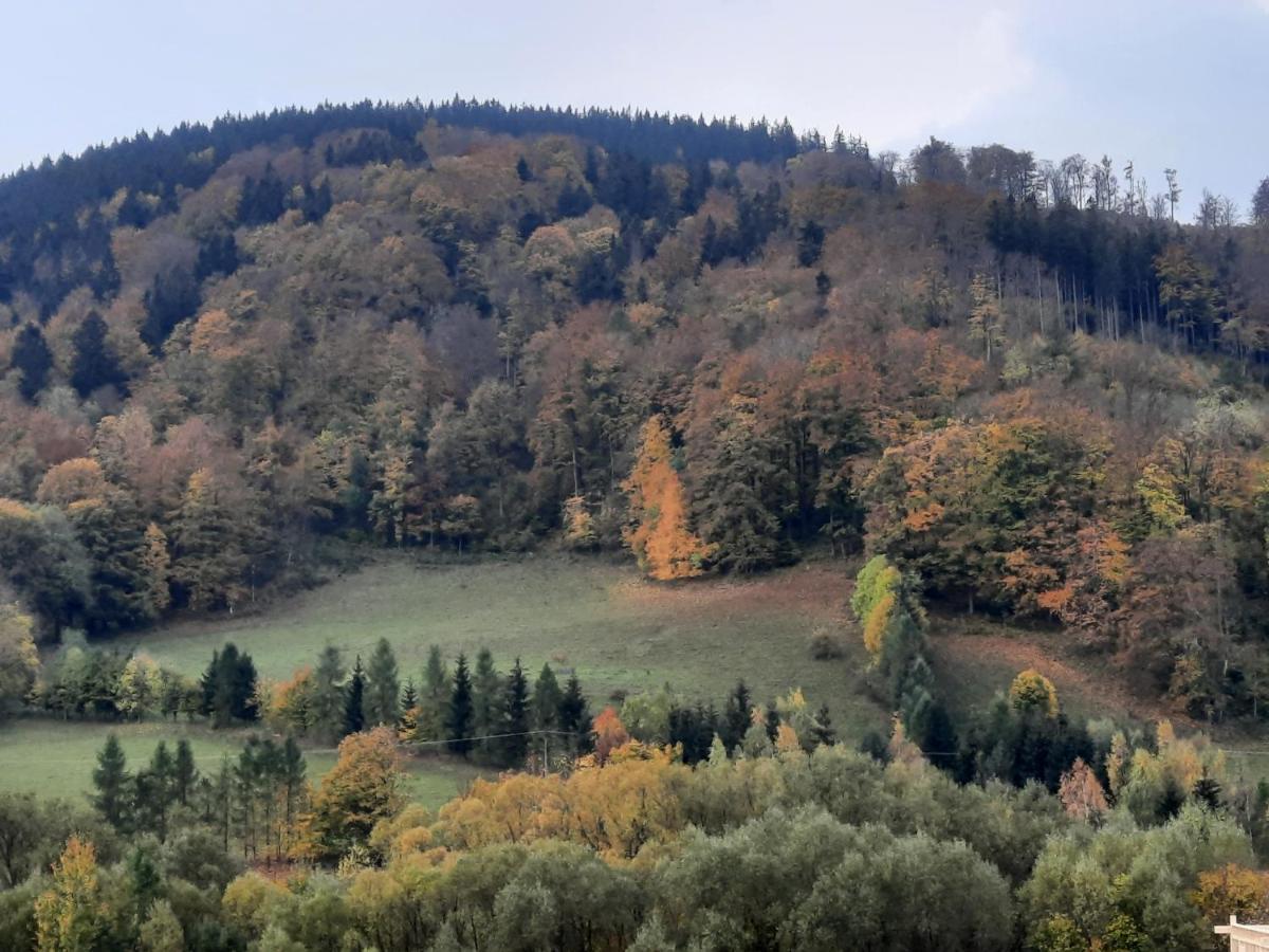 Domek Ostoja Lomnica  Exterior foto
